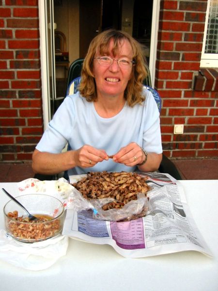 Granat (Krabben) puhlen